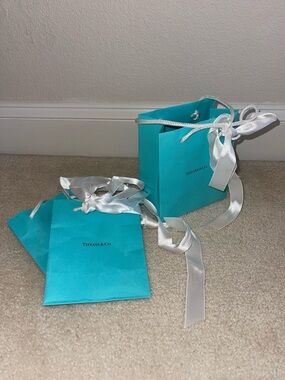 Tiffany & Co. Iconic Blue Gift Bags with White Satin Ribbons (3)